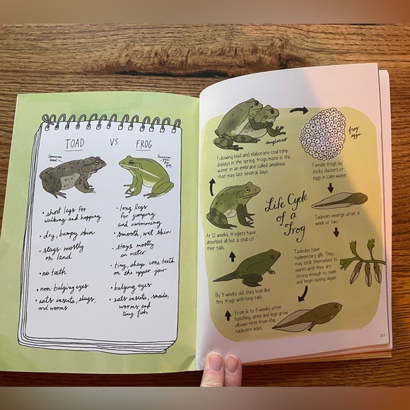 Nature Anatomy by Julia Rothman book. Excellent condition. - Picture 8 of 8